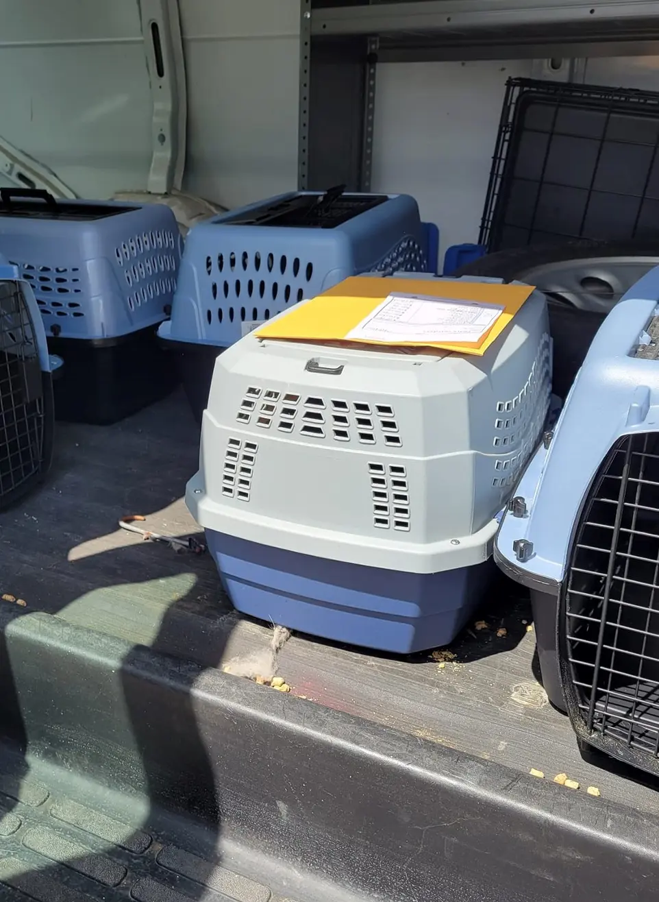 york cats shipping crate in car